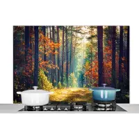 KitchenYeah Spatscherm keuken 120x80 cm - Kookplaat achterwand Bos - Zon - Natuur - Herfst - Muurbeschermer - Spatwand fornuis - Hoogwaardig aluminium