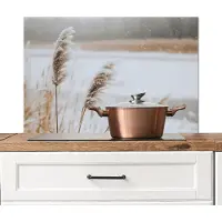 KitchenYeah Spatscherm keuken 80x55 cm - Kookplaat achterwand Riet - Meer - Winter - Natuur - Sneeuw - Beige - Muurbeschermer - Spatwand fornuis - Hoogwaardig aluminium