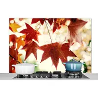 KitchenYeah Spatscherm keuken 120x80 cm - Kookplaat achterwand Herfstbladeren - November - Natuur - Bomen - Muurbeschermer - Spatwand fornuis - Hoogwaardig aluminium