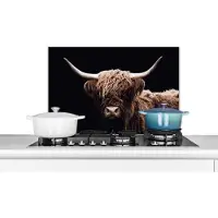 KitchenYeah Spatscherm keuken - Wanddecoratie - Schotse hooglander - Dieren - Hoorn - Koe - Spatbord - Muurbeschermer - 60x40 cm