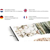 KitchenYeah Spatscherm keuken 120x80 cm - Kookplaat achterwand Schotse hooglander - Cactus - Hout - Muurbeschermer - Spatwand fornuis - Hoogwaardig aluminium