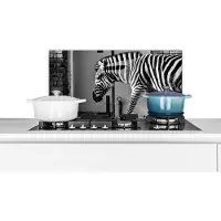 KitchenYeah Spatscherm keuken 70x30 cm - Kookplaat achterwand Zebra - Muur - Deur - Dieren - Zwart wit - Muurbeschermer - Spatwand fornuis - Hoogwaardig aluminium