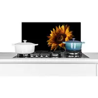 KitchenYeah Spatscherm keuken 60x30 cm - Kookplaat achterwand Bloemen - Botanisch - Zwart - Zonnebloem - Muurbeschermer - Spatwand fornuis - Hoogwaardig aluminium