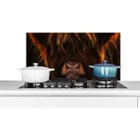 KitchenYeah Spatscherm keuken 90x45 cm - Kookplaat achterwand Schotse Hooglander - Koe - Zwart - Portret - Muurbeschermer - Spatwand fornuis - Hoogwaardig aluminium