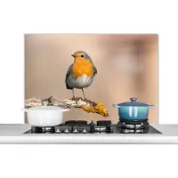 KitchenYeah Spatscherm keuken 100x65 cm - Kookplaat achterwand Roodborstje - Vogel - Tak - Dieren - Muurbeschermer - Spatwand fornuis - Hoogwaardig aluminium
