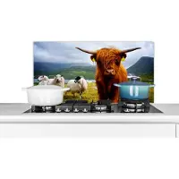 KitchenYeah Spatscherm keuken 80x40 cm - Kookplaat achterwand Schotse hooglander - Licht - Schapen - Muurbeschermer - Spatwand fornuis - Hoogwaardig aluminium