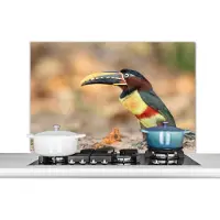 KitchenYeah Spatscherm keuken 100x65 cm - Kookplaat achterwand Vogel - Toekan - Veren - Natuur - Muurbeschermer - Spatwand fornuis - Hoogwaardig aluminium