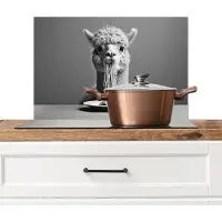 KitchenYeah Spatscherm keuken 60x40 cm - Kookplaat achterwand Alpaca - Pasta - Zwart - Wit - Grappig - Dieren - Muurbeschermer - Spatwand fornuis - Hoogwaardig aluminium
