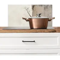 KitchenYeah Spatscherm keuken 60x30 cm - Kookplaat achterwand Wabi sabi - Plant - Beige - Muurbeschermer - Spatwand fornuis - Hoogwaardig aluminium