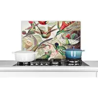 KitchenYeah Spatscherm keuken 60x40 cm - Kookplaat achterwand Kolibrie - Vintage - Ernst Haeckel - Vogel - Kunst - Natuur - Muurbeschermer - Spatwand fornuis - Hoogwaardig aluminium