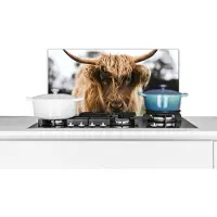 KitchenYeah Spatscherm keuken 60x30 cm - Kookplaat achterwand Schotse Hooglander - Koe - Gras - Dieren - Natuur - Muurbeschermer - Spatwand fornuis - Hoogwaardig aluminium