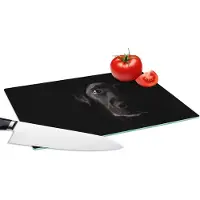 KitchenYeah Glazen Snijplank - 28x20 - Een zwarte Labrador Retriever op een zwarte achtergrond - Snijplanken Glas