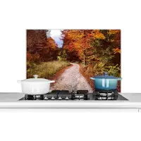 KitchenYeah Spatscherm keuken 90x60 cm - Kookplaat achterwand Herfst - Herfstbladeren - Pad - Bos - Muurbeschermer - Spatwand fornuis - Hoogwaardig aluminium
