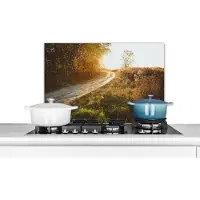 KitchenYeah Spatscherm keuken 70x50 cm - Kookplaat achterwand Pad - Natuur - Boom - Muurbeschermer - Spatwand fornuis - Hoogwaardig aluminium