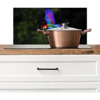 KitchenYeah Spatscherm keuken 60x30 cm - Kookplaat achterwand Felgekleurd - Papegaai - Bos - Vleugels - Muurbeschermer - Spatwand fornuis - Hoogwaardig aluminium