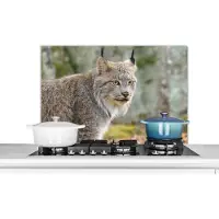 KitchenYeah Spatscherm keuken 90x60 cm - Kookplaat achterwand Lynx - Bos - Grijs - Muurbeschermer - Spatwand fornuis - Hoogwaardig aluminium