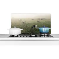 KitchenYeah Spatscherm keuken 80x40 cm - Kookplaat achterwand Koeien - Mist - Friesland - Muurbeschermer - Spatwand fornuis - Hoogwaardig aluminium