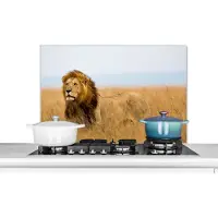 KitchenYeah Spatscherm keuken 80x55 cm - Kookplaat achterwand Leeuwen - Gras - Afrika - Muurbeschermer - Spatwand fornuis - Hoogwaardig aluminium