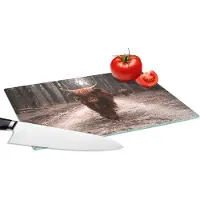 KitchenYeah Glazen Snijplank - 28x20 - Schotse hooglander - Bos - Koe - Dieren - Natuur - Snijplanken Glas