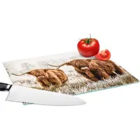 KitchenYeah Glazen Snijplank - 28x20 - Schotse hooglander - Koe - Natuur - Winter - Snijplanken Glas
