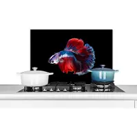 KitchenYeah Spatscherm keuken 70x50 cm - Kookplaat achterwand Vis - Staart - Zwart - Muurbeschermer - Spatwand fornuis - Hoogwaardig aluminium