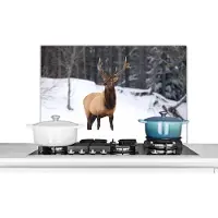 KitchenYeah Spatscherm keuken 80x55 cm - Kookplaat achterwand Hert - Sneeuw - Winter - Muurbeschermer - Spatwand fornuis - Hoogwaardig aluminium