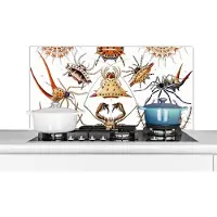 KitchenYeah Spatscherm keuken 100x50 cm - Kookplaat achterwand Retro - Spin - Ernst Haeckel - Spinnen - Muurbeschermer - Spatwand fornuis - Hoogwaardig aluminium