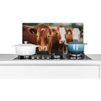 KitchenYeah Spatscherm keuken 70x30 cm - Kookplaat achterwand Koeien - Gras - Hek - Muurbeschermer - Spatwand fornuis - Hoogwaardig aluminium