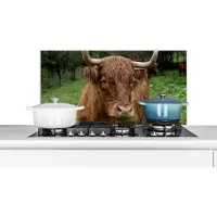 KitchenYeah Spatscherm keuken 80x40 cm - Kookplaat achterwand Schotse Hooglander - Dieren - Gras - Muurbeschermer - Spatwand fornuis - Hoogwaardig aluminium