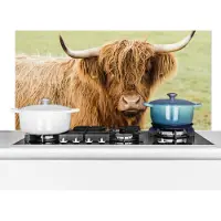 KitchenYeah Spatscherm keuken 80x40 cm - Kookplaat achterwand Schotse hooglander - Hoorn - Gras - Muurbeschermer - Spatwand fornuis - Hoogwaardig aluminium