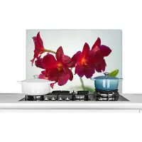 KitchenYeah Spatscherm keuken 90x60 cm - Kookplaat achterwand Rode orchideeën tegen een witte achtergrond - Muurbeschermer - Spatwand fornuis - Hoogwaardig aluminium