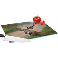 KitchenYeah Glazen Snijplank - 39x28 - Hert - Dieren - Varens - Snijplanken Glas