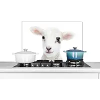 KitchenYeah Spatscherm keuken 60x40 cm - Kookplaat achterwand Lam - Wit - Dieren - Natuur - Muurbeschermer - Spatwand fornuis - Hoogwaardig aluminium