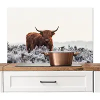 KitchenYeah Spatscherm keuken 100x65 cm - Kookplaat achterwand Schotse hooglander - Dier - Natuur - Wit - Muurbeschermer - Spatwand fornuis - Hoogwaardig aluminium