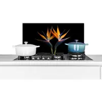 KitchenYeah Spatscherm keuken 70x30 cm - Kookplaat achterwand Planten - Bloemen - Paradijsvogelbloem - Portret - Zwart - Muurbeschermer - Spatwand fornuis - Hoogwaardig aluminium
