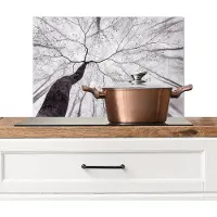 KitchenYeah Spatscherm keuken 60x40 cm - Kookplaat achterwand Boom - Takken - Bladeren - Mist - Muurbeschermer - Spatwand fornuis - Hoogwaardig aluminium