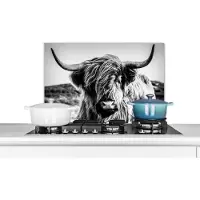 KitchenYeah Spatscherm keuken 70x50 cm - Kookplaat achterwand Schotse hooglander - Natuur - Koe - Zwart - Wit - Muurbeschermer - Spatwand fornuis - Hoogwaardig aluminium