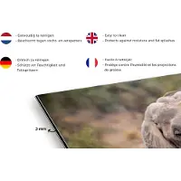 KitchenYeah Spatscherm keuken 120x80 cm - Kookplaat achterwand Olifant - Dieren - Bomen - Natuur - Muurbeschermer - Spatwand fornuis - Hoogwaardig aluminium