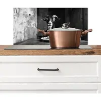 KitchenYeah Spatscherm keuken 60x30 cm - Kookplaat achterwand Geit - Bord - Spaghetti - Zwart Wit - Muurbeschermer - Spatwand fornuis - Hoogwaardig aluminium