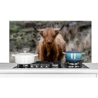 KitchenYeah Spatscherm keuken 120x60 cm - Kookplaat achterwand Schotse Hooglander - Mos - Gras - Muurbeschermer - Spatwand fornuis - Hoogwaardig aluminium