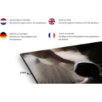 KitchenYeah Spatscherm keuken 120x80 cm - Kookplaat achterwand Ballet - Ballerina - Dans - Muurbeschermer - Spatwand fornuis - Hoogwaardig aluminium