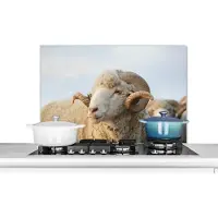 KitchenYeah Spatscherm keuken 90x60 cm - Kookplaat achterwand Schaap - Ram - Horens - Muurbeschermer - Spatwand fornuis - Hoogwaardig aluminium