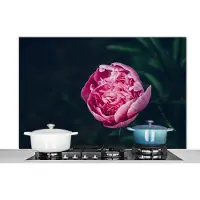 KitchenYeah Spatscherm keuken 120x80 cm - Kookplaat achterwand Bloemen - Roze - Rozen - Muurbeschermer - Spatwand fornuis - Hoogwaardig aluminium
