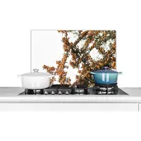 KitchenYeah Spatscherm - Boom - Takken - Geel - Natuur - Spatwand- 70x50 cm - Muurbeschermer