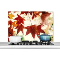 KitchenYeah Spatscherm keuken 100x65 cm - Kookplaat achterwand Herfstbladeren - November - Natuur - Bomen - Muurbeschermer - Spatwand fornuis - Hoogwaardig aluminium
