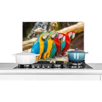 KitchenYeah Spatscherm keuken 60x40 cm - Kookplaat achterwand Vogels - Papegaai - Tropisch - Natuur - Muurbeschermer - Spatwand fornuis - Hoogwaardig aluminium