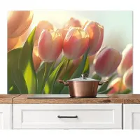 KitchenYeah Spatscherm keuken 120x80 cm - Kookplaat achterwand Tulpen - Roze - Zonnestralen - Muurbeschermer - Spatwand fornuis - Hoogwaardig aluminium