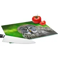 KitchenYeah Glazen Snijplank - 28x20 - Vogel - Uil - Dieren - Bruin - Portret - Snijplanken Glas