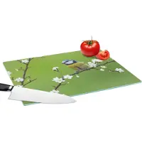 KitchenYeah Glazen Snijplank - 39x28 - Pimpelmees - Tak - Bloemen - Bloesem takken - Vogel - Snijplanken Glas