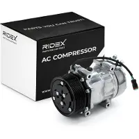 RIDEX 447K0674 Aircopomp